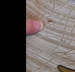 Sydney Mini Halter Dress - Lime & Orange Vintage Indian Sari - XS - M -KIKIS Clothing Shop 208457408 517481916156537 2309437766894148976 n